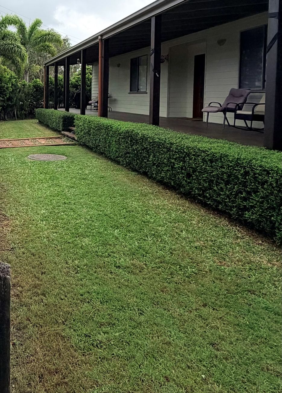 Mown lawn and trimmed hedge at a Caloundra rental, brought to inspection standard